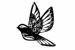 Homemania Lintu Koriste