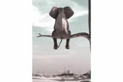 Juliste Elephant 50x70 Cm