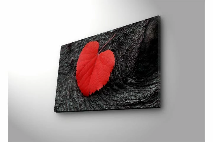 Koristeellinen Led Valaistu Canvas Taulu 11 Koristeellinen Led Valaistu Canvas Taulu - Image 9