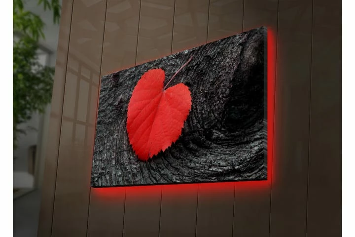 Koristeellinen Led Valaistu Canvas Taulu 4 Koristeellinen Led Valaistu Canvas Taulu - Image 2