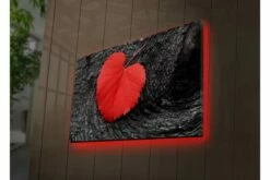 Koristeellinen Led Valaistu Canvas Taulu