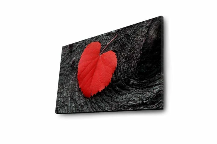 Koristeellinen Led Valaistu Canvas Taulu 10 Koristeellinen Led Valaistu Canvas Taulu - Image 8