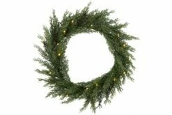 Kranssi Thuja 40cm 20wwBO