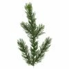 Star Trading Kuusi PE Malung LED 200cm -meubeldecoratie winkel kuusi pe malung led 200cm 3146651