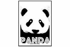 Panda Kuvitius Valkoinen/Musta