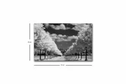 Seinäkoriste LED-valaistu Canvas Maalaus -meubeldecoratie winkel seinakoriste led valaistu canvas maalaus 2082422