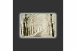 Seinäkoriste LED-valaistu Canvas Maalaus -meubeldecoratie winkel seinakoriste led valaistu canvas maalaus 2086955