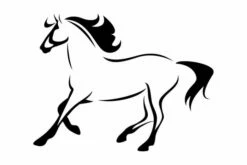 Sisustustarra 65x49 Cm Animals