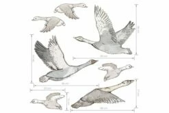 Sisustustarra Hanhet 7Kpl Harmaa/Valkoinen -meubeldecoratie winkel sisustustarra hanhet 7kpl harmaavalkoinen pastelowe 4203141