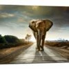 Taulu Canvas Elephant -meubeldecoratie winkel taulu canvas elephant 75x100 104742