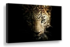 Taulu Leopard Digiprintattu Canvas